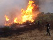 CAUSES DES DÉPARTS DE FEU : La Gendarmerie nationale entame les enquêtes