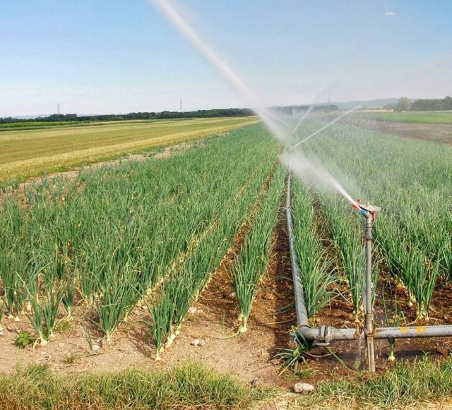 Irrigation