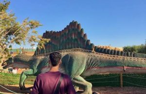 Oran : Le Village méditerranéen au rythme du « Jurassic Park » estival