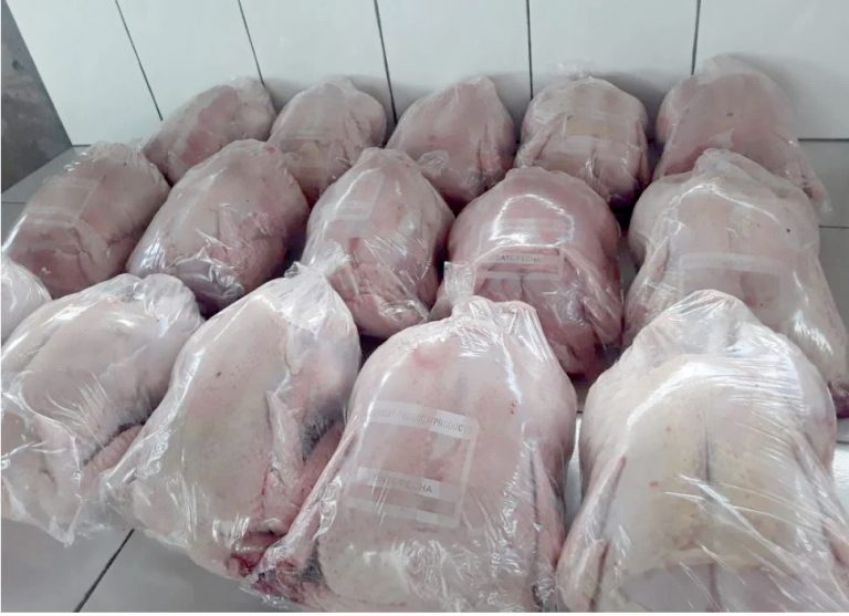 Annaba : Commercialisation de plus de 168 quintaux de poulet congelé pour stabiliser le marché