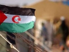 SAINT-FLORENT-LE-VIEIL EN FRANCE : Le peuple sahraoui à travers 60 clichés