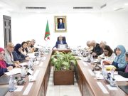 SOLLICITÉE EN AFRIQUE : L’expertise de Sonelgaz International à l’œuvre