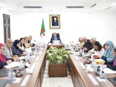 SOLLICITÉE EN AFRIQUE : L’expertise de Sonelgaz International à l’œuvre