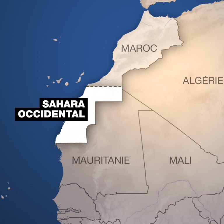 UNE NOUVELLE CARTE DU MONDE OÙ LE TERRITOIRE SAHRAOUI À DROIT DE CITÉ : Grand camouflet pour le Maroc