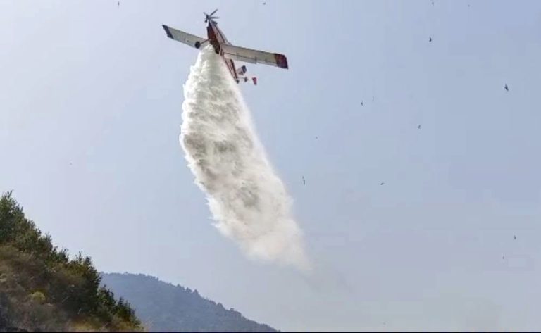 SITUATION DES INCENDIES : D’importants moyens aériens mobilisés à Sétif 