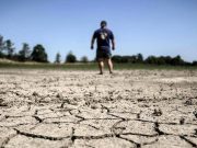 Report du plan canicule en France : Les agriculteurs au bord de la rupture