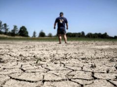 Report du plan canicule en France : Les agriculteurs au bord de la rupture