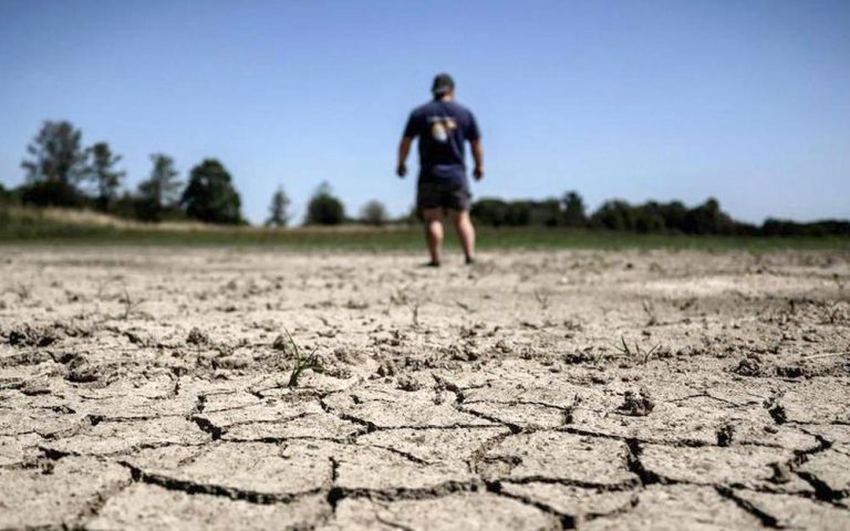 Report du plan canicule en France : Les agriculteurs au bord de la rupture