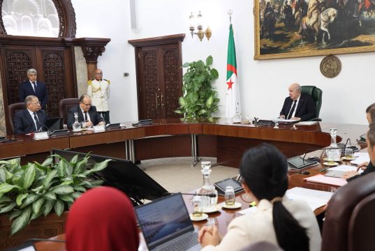 MISE EN SERVICE DU GUICHET UNIQUE, RECENSEMENT DU FONCIER INDUSTRIEL, NUMÉRISATION ET SPÉCIALISATION DES PORTS : Tebboune donne des instructions fermes