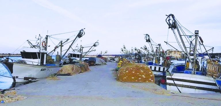 Mostaganem : Un nouveau port de pêche et de plaisance en projet à Stidia