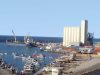 IMPORTATIONS : Pourquoi le port de Mostaganem est réservé au secteur public
