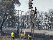 Endommagés par les incendies : Rétablissement total des réseaux d’électricité et de gaz à Bouira