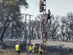 Endommagés par les incendies : Rétablissement total des réseaux d’électricité et de gaz à Bouira