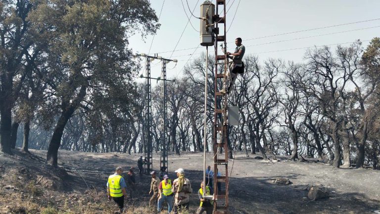 Endommagés par les incendies : Rétablissement total des réseaux d&rsquo;électricité et de gaz à Bouira