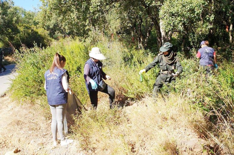 Tizi Ouzou : Vaste opération de nettoyage de la forêt de Mizrana