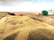 SÉCURITÉ ALIMENTAIRE : L’apport italien en Algérie