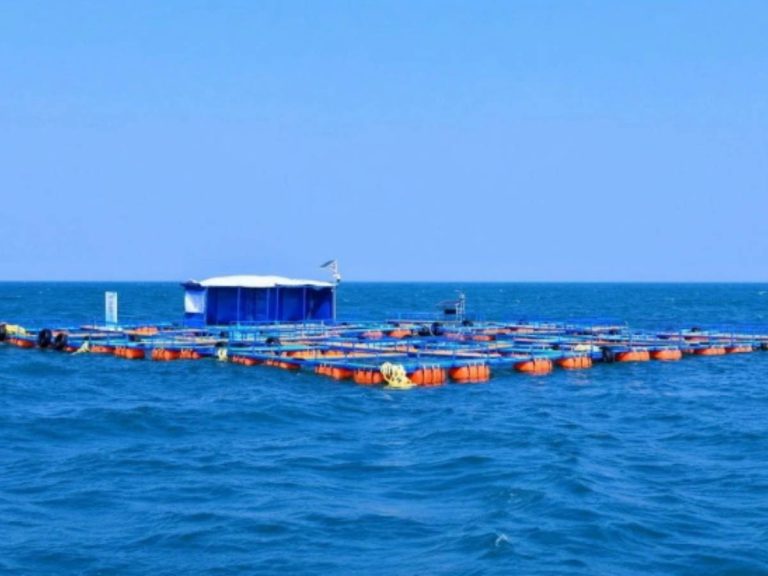 Course au combustible nucléaire des océans : Pékin prend l&rsquo;avantage sur Washington