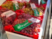 Boumerdès : Une récolte exceptionnelle de plus de 3,3 millions de qx de raisin