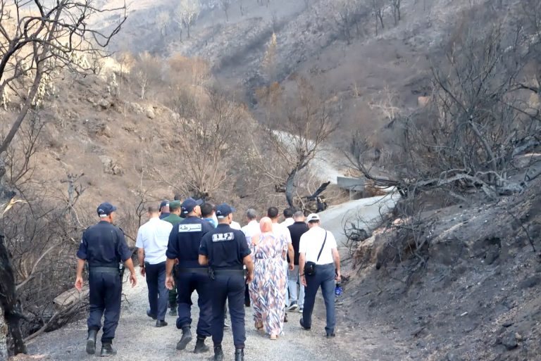 INCENDIES : Le recensement des agriculteurs sinistrés touche à sa fin