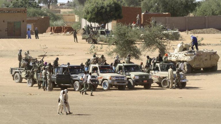 Darfour : Mise en lumière du rôle principale des Emirats à violer l’embargo sur les armes