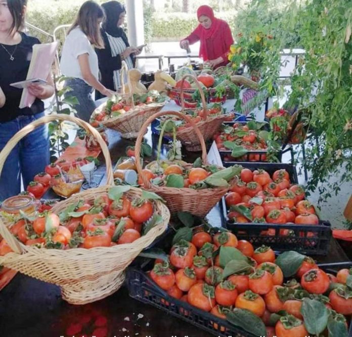 Festival de la plaquemine à Mechtras