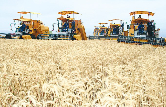 Filière céréalière