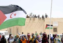 LE PROJET AMÉRICAIN « « DRAFT ZERO » DÉCRIÉ À CAUSE DE SON PARTI-PRIS POUR RABAT CONTRE LE POLISARIO : Une tentative US d’imposer le plan marocain