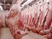 IMPORTATION DE VIANDES ROUGES : L’Algérie et l’Espagne signent deux accords