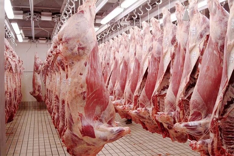 IMPORTATION DE VIANDES ROUGES : L’Algérie et l’Espagne signent deux accords