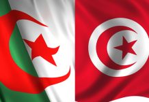 PÊCHE MARITIME : L’Algérie et la Tunisie renforcent leur coopération technique et scientifique