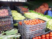 Pour stabiliser les prix des produits agricoles : Vers une généralisation de la vente directe à Oran